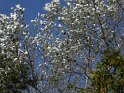2015-09-30 13-53-29 Ile d'Arz CGn